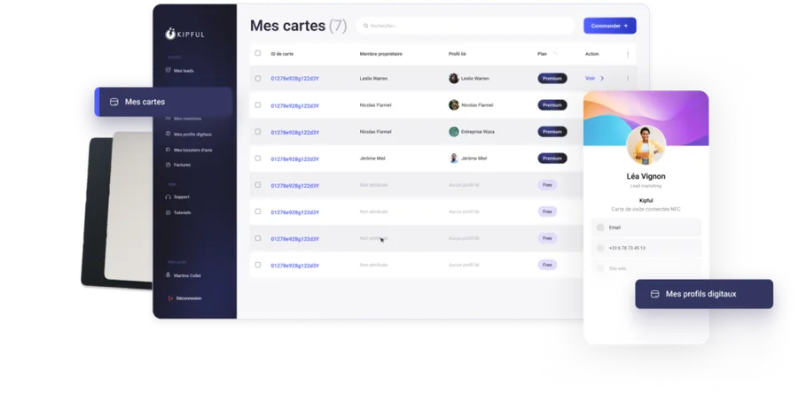Interface de gestion des leads KIPFUL
